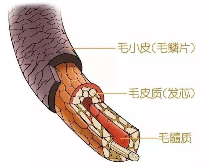 燕麦片有补硒作用吗