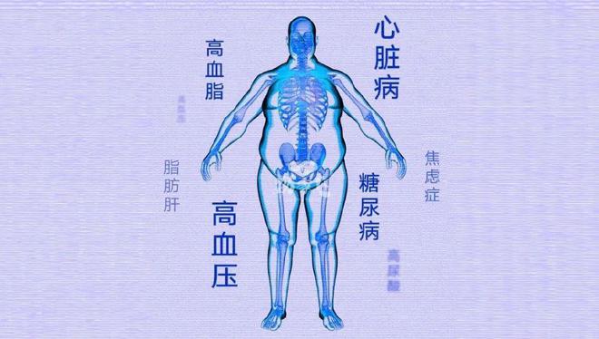补硒最好的鱼凤尾鱼