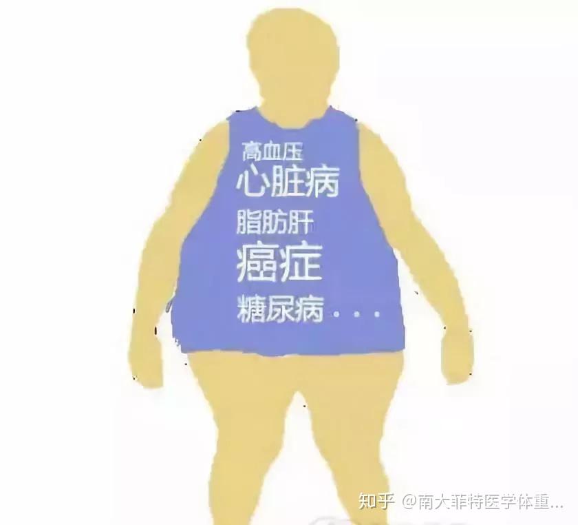 补硒最好的鱼凤尾鱼