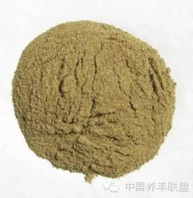 羊一年需要补几次硒