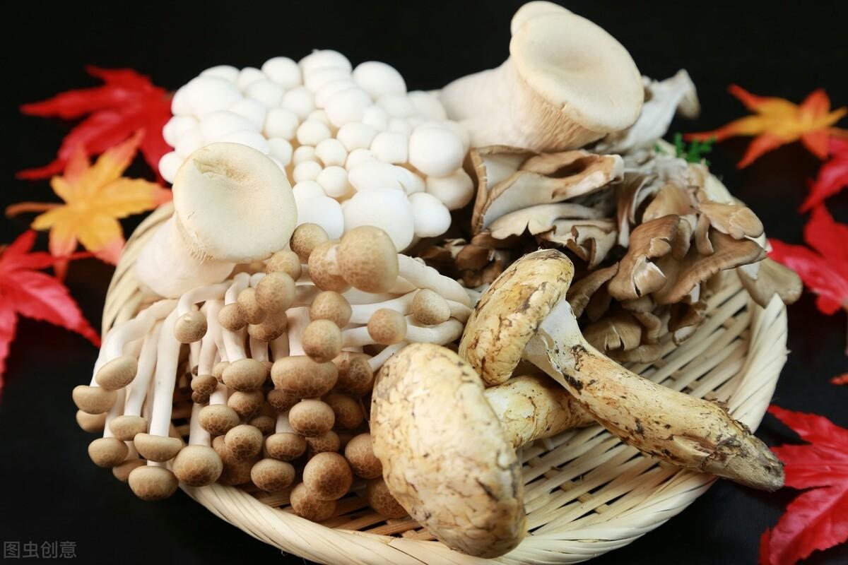 孩子补锌吃什么