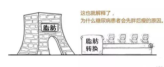 打胰岛素补硒可以吗