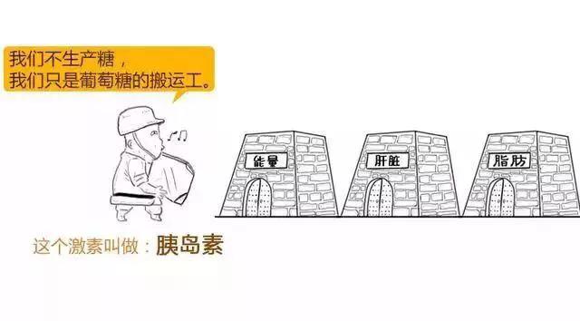 打胰岛素补硒可以吗