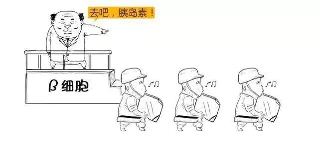 打胰岛素补硒可以吗