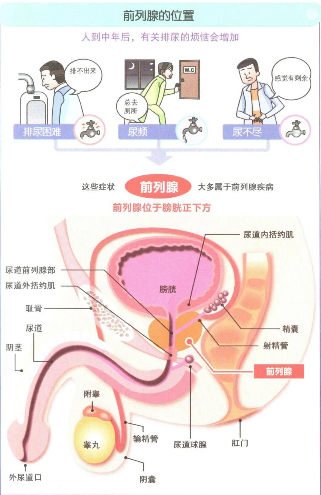 前列腺炎补硒还是锌