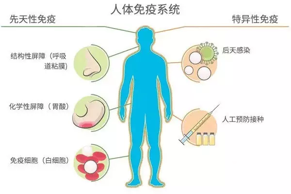 补硒要和维E一起吗