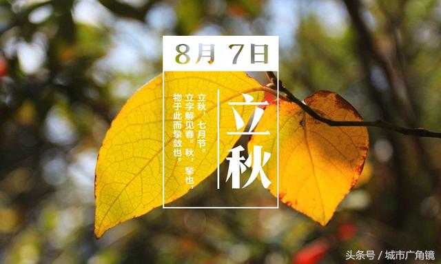 今日立秋 秋季：养生先养骨，要想骨头好补钙不可少！