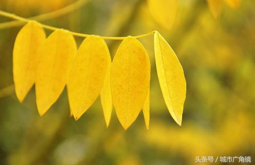今日立秋 秋季：养生先养骨，要想骨头好补钙不可少！