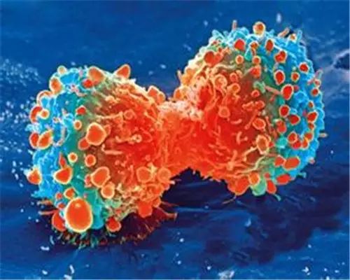 大动脉炎需要补硒吗(补硒需要ve吗)-硒宝网