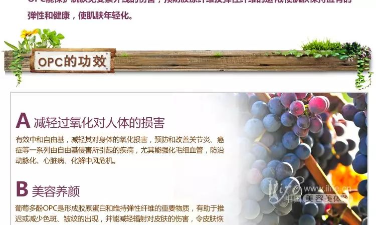 大动脉炎需要补硒吗(补硒需要ve吗)-硒宝网