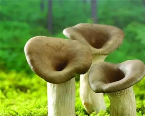 大动脉炎需要补硒吗(补硒需要ve吗)-硒宝网