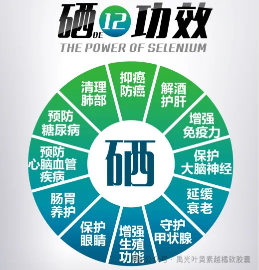 补硒第一品牌是哪个