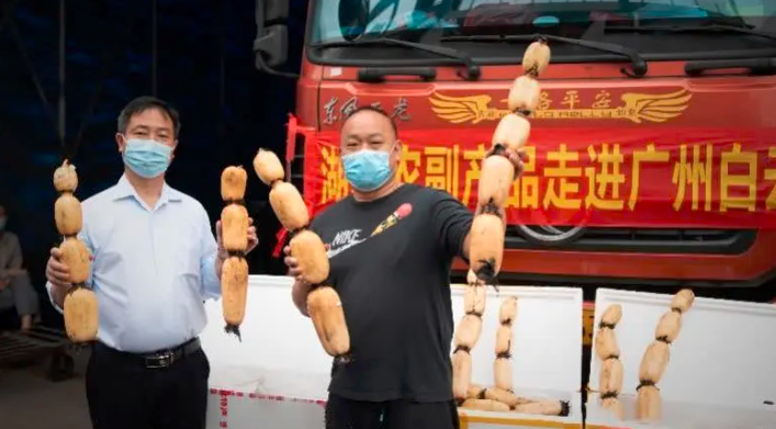 英山富硒产品有哪些