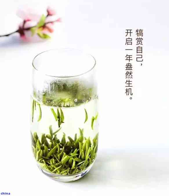 陕西汉中有何名茶？了解当地特色茶品！