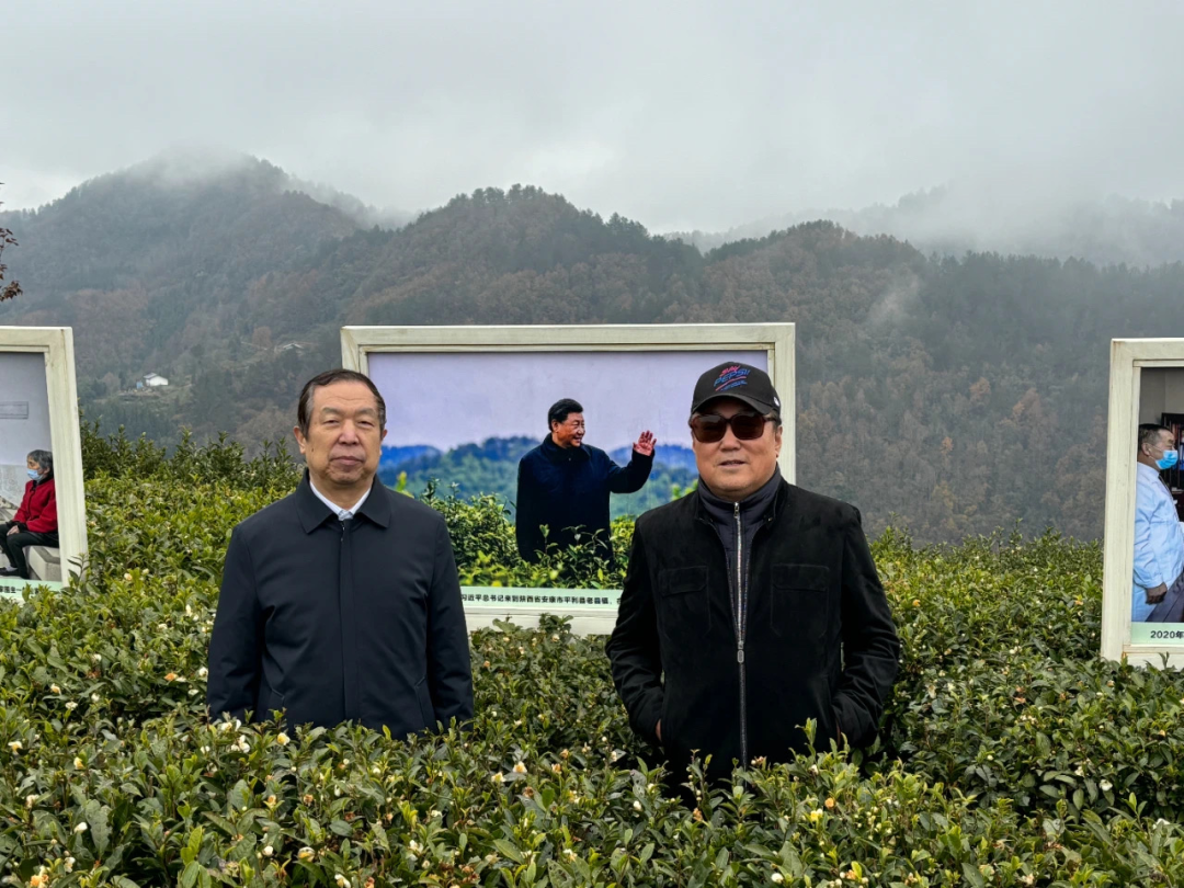 中国最好的富硒产品