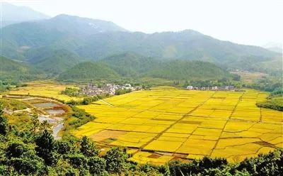 建设富硒农产品基地