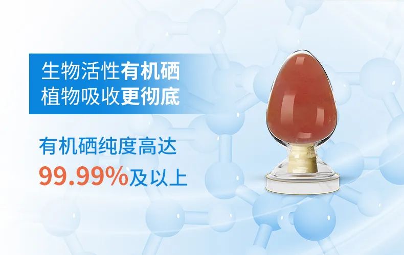 济南富硒农产品展览