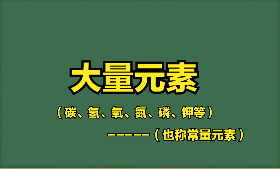 微量元素钙偏高
