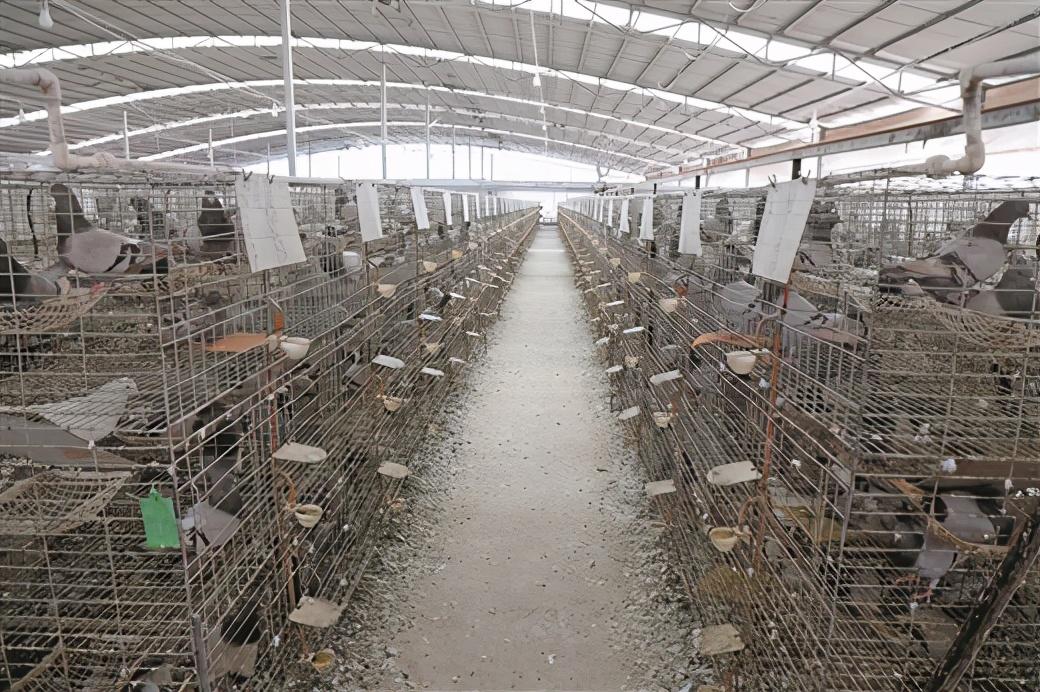 南宁富硒农产品基地