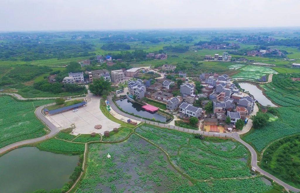 南宁富硒农产品基地