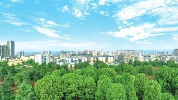 新田县富硒产品企业