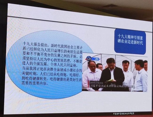 富硒产品相关的文章
