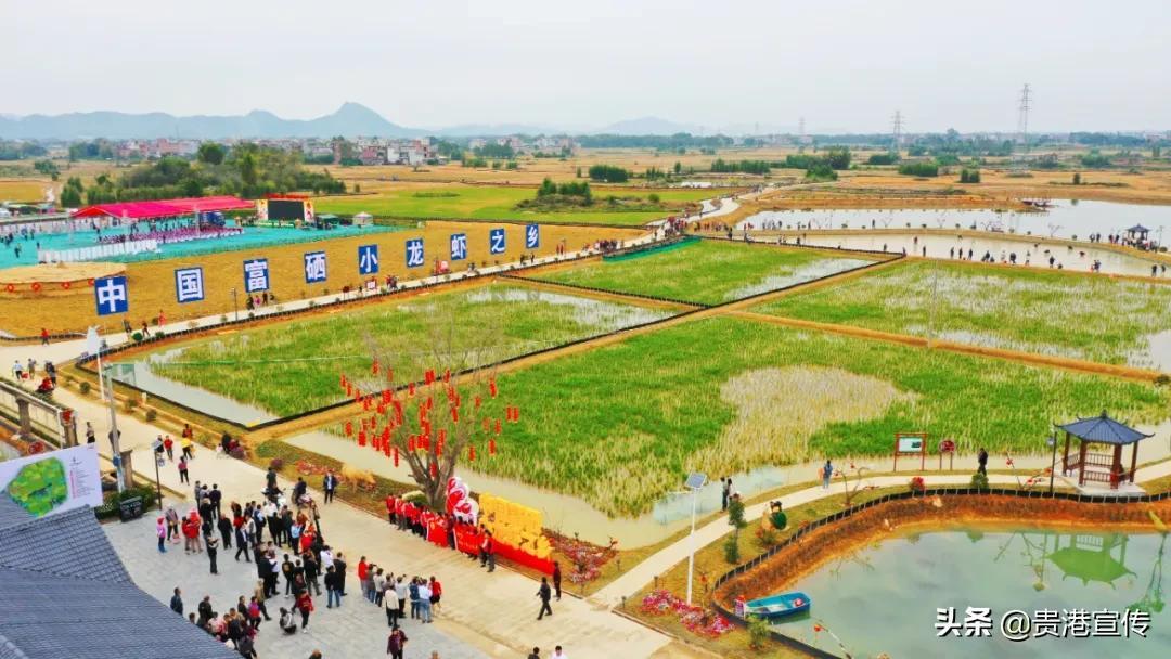 贵港富硒农产品品牌(贵港市富硒农产品)-硒宝网