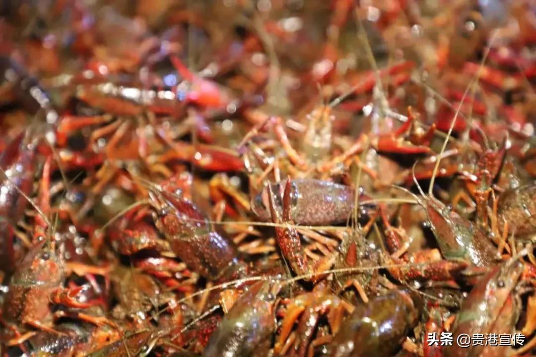 贵港富硒农产品品牌(贵港市富硒农产品)-硒宝网