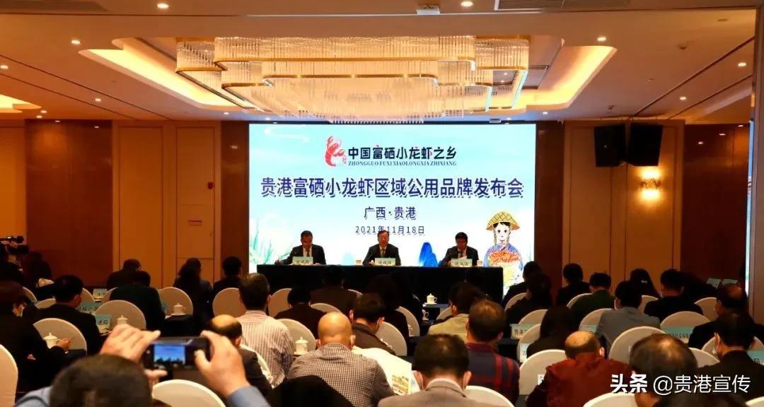 贵港富硒农产品品牌(贵港市富硒农产品)-硒宝网