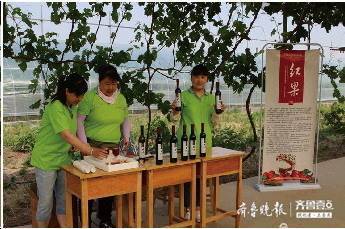 淄川富硒农产品特色