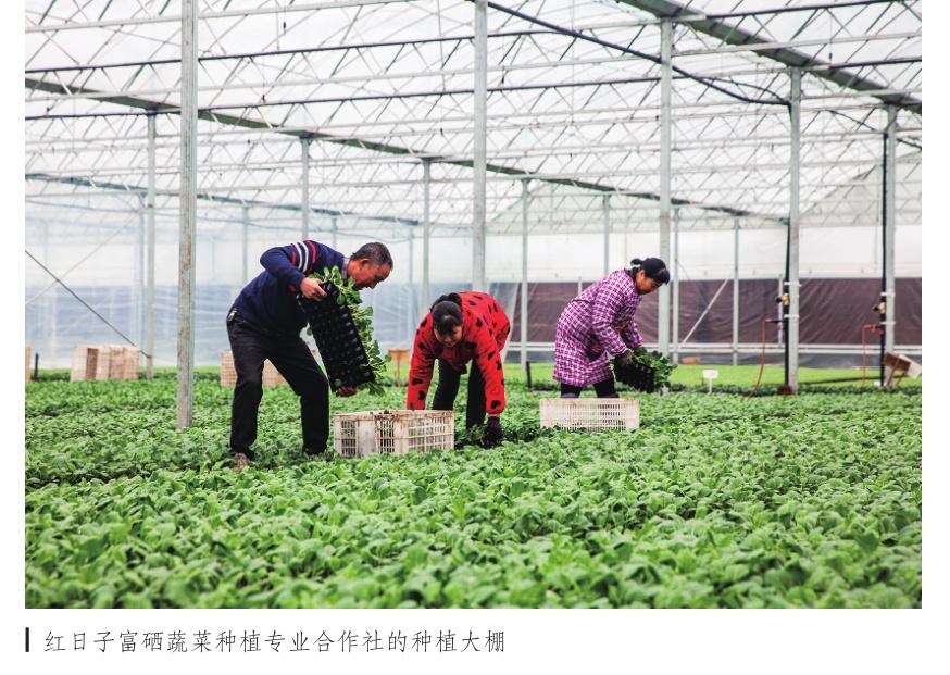 湖北富硒产品博览会