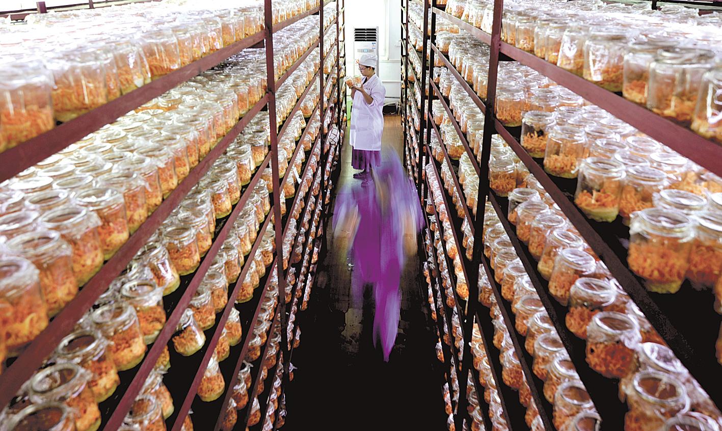 恩施特色富硒农产品(恩施富硒土特产)-硒宝网