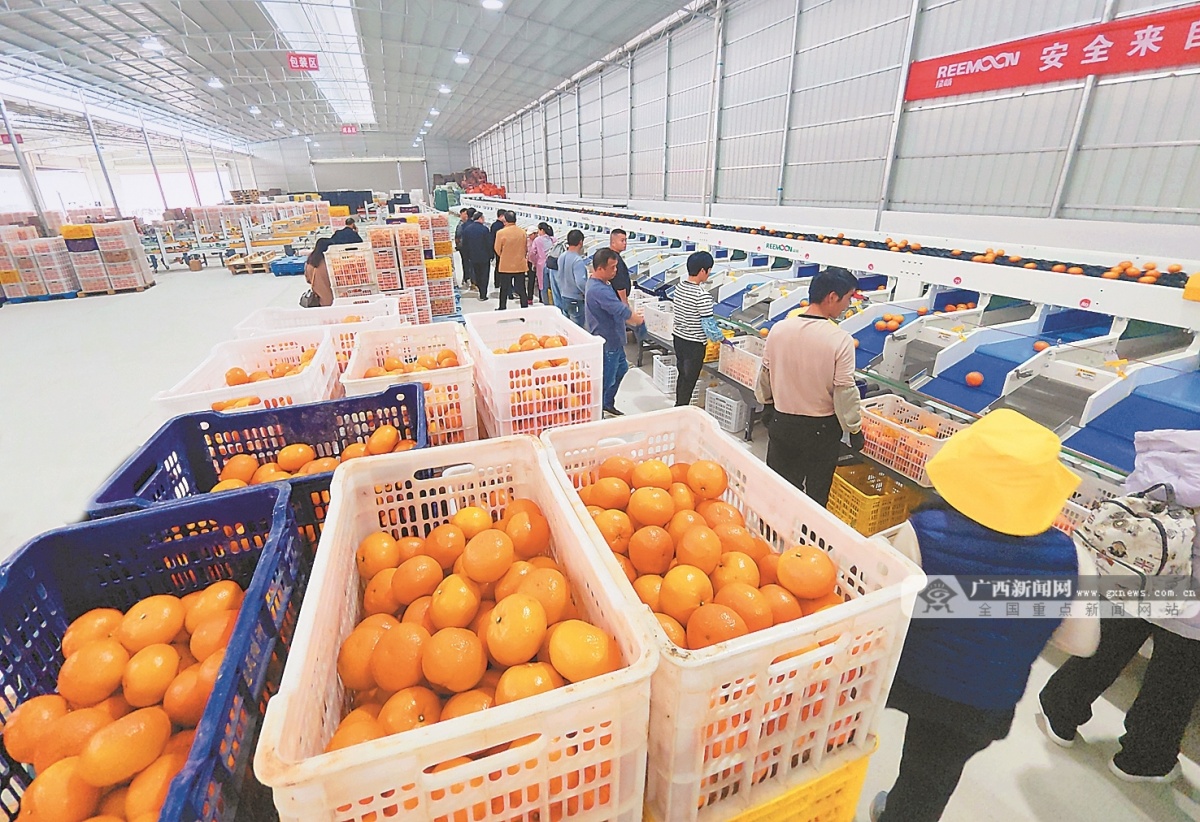 广西永福富硒农产品