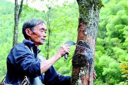 生态富硒绿色农产品