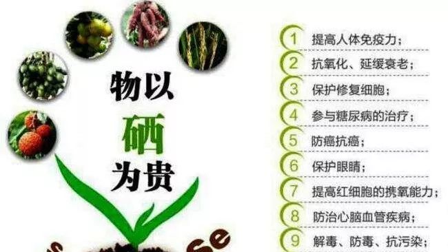 恩施富硒农产品市?。ǘ魇└晃┎放⑹谐。?硒宝网