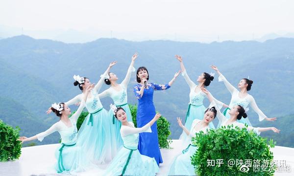 安康市富硒桑叶产品