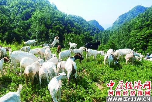 叶县富硒农产品价格