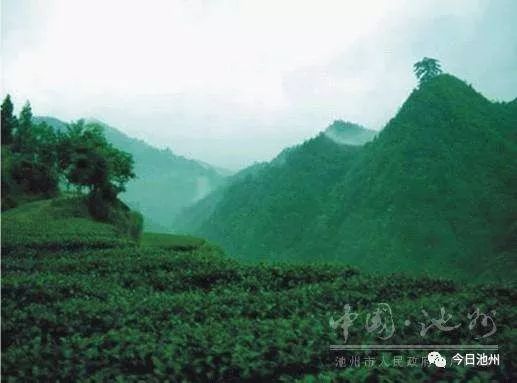 佳山森林富硒农产品