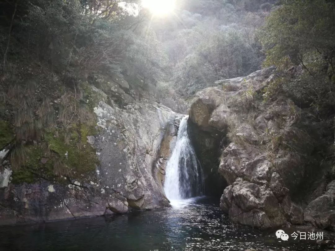 佳山森林富硒农产品