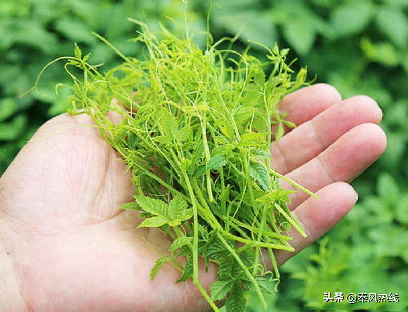 平利乡源富硒农产品(富硒农?。?硒宝网