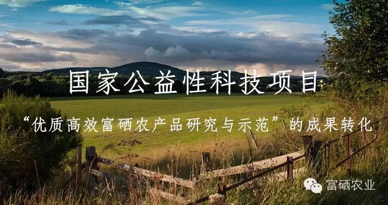 功能性农产品 富硒