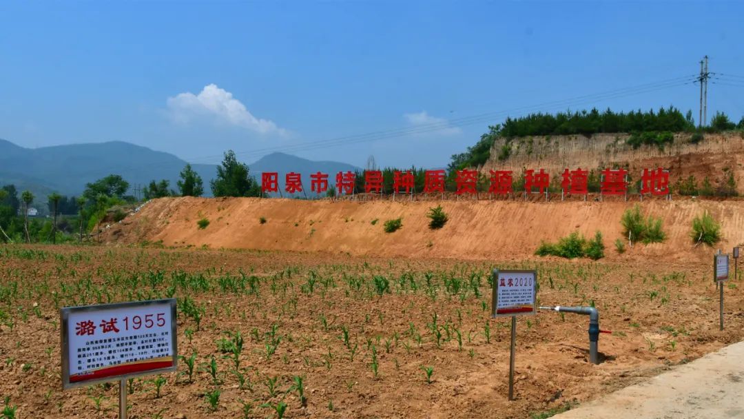 山西阳泉市富硒产品