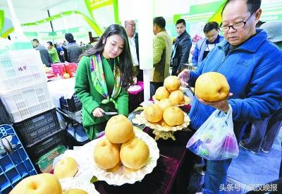 安康富硒农产品价格