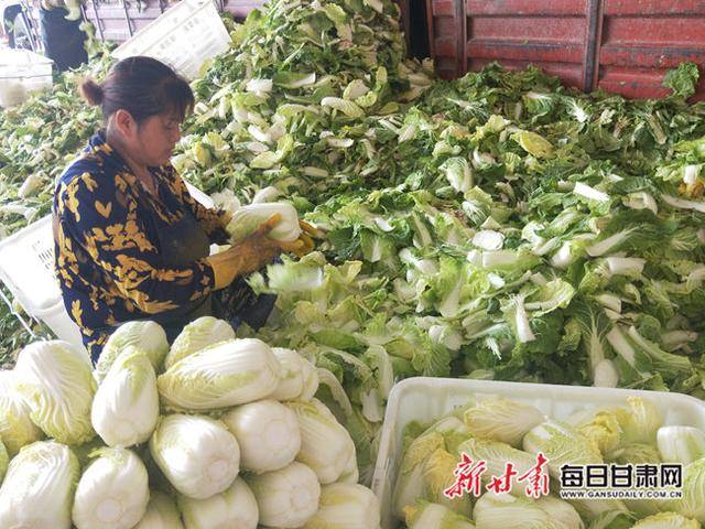 富硒农产品高原夏菜