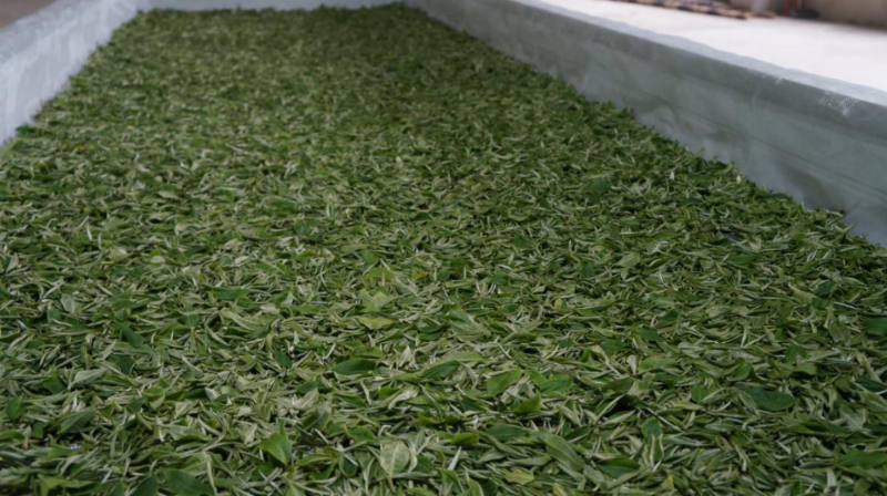 产品名称高山富硒茶
