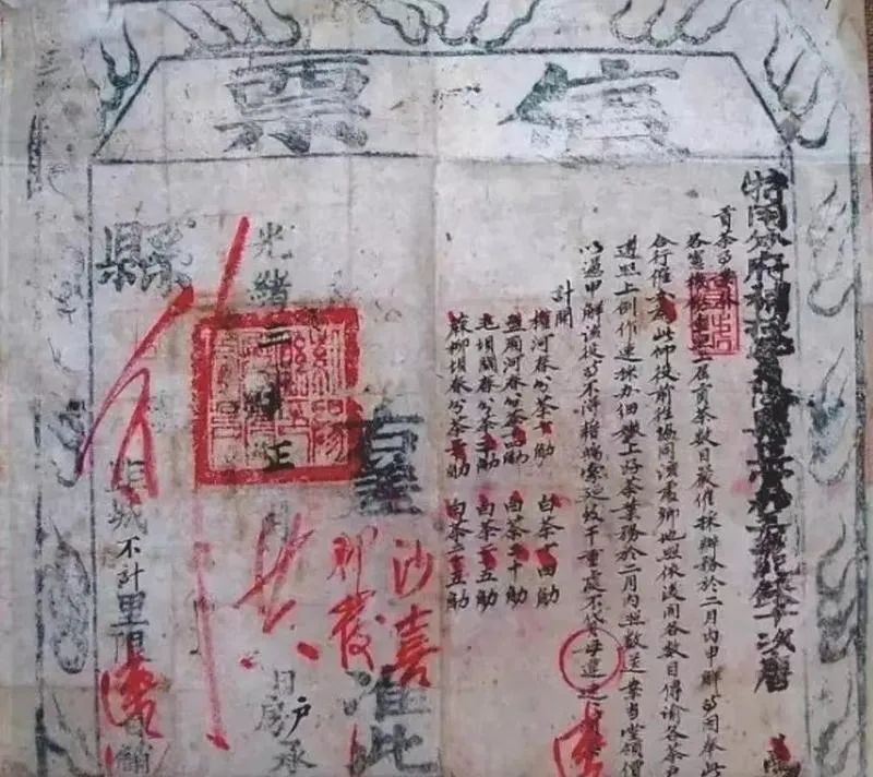 河北富硒毛坝茶加工