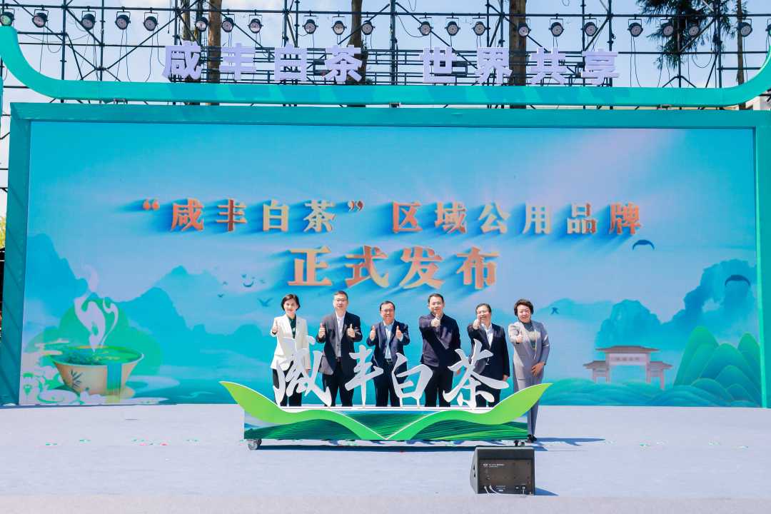 白茶与富硒茶哪个好