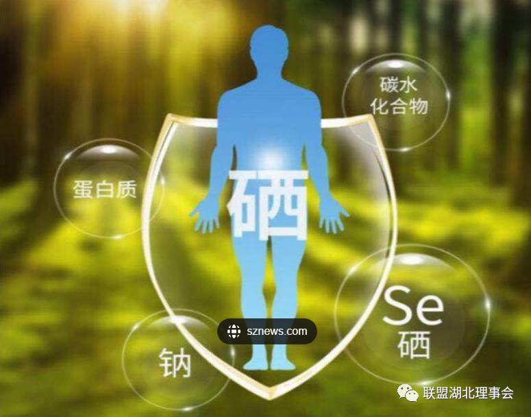 紫阳富硒茶含激素吗