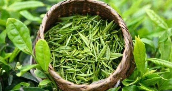 湖南富硒茶玉露地址