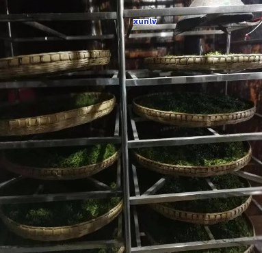 利川毛坝茶厂有哪些产品，探秘利川毛坝茶厂：揭秘其主打产品